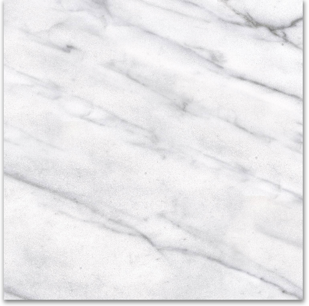 12X12F Carrara | Tile and Stone Center