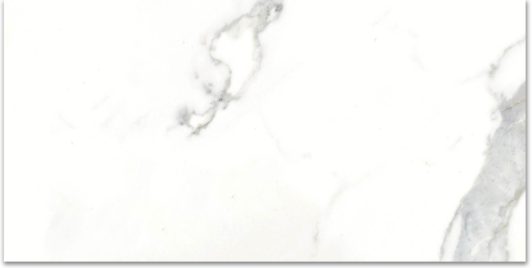 12X24F Calacatta | Tile and Stone Center